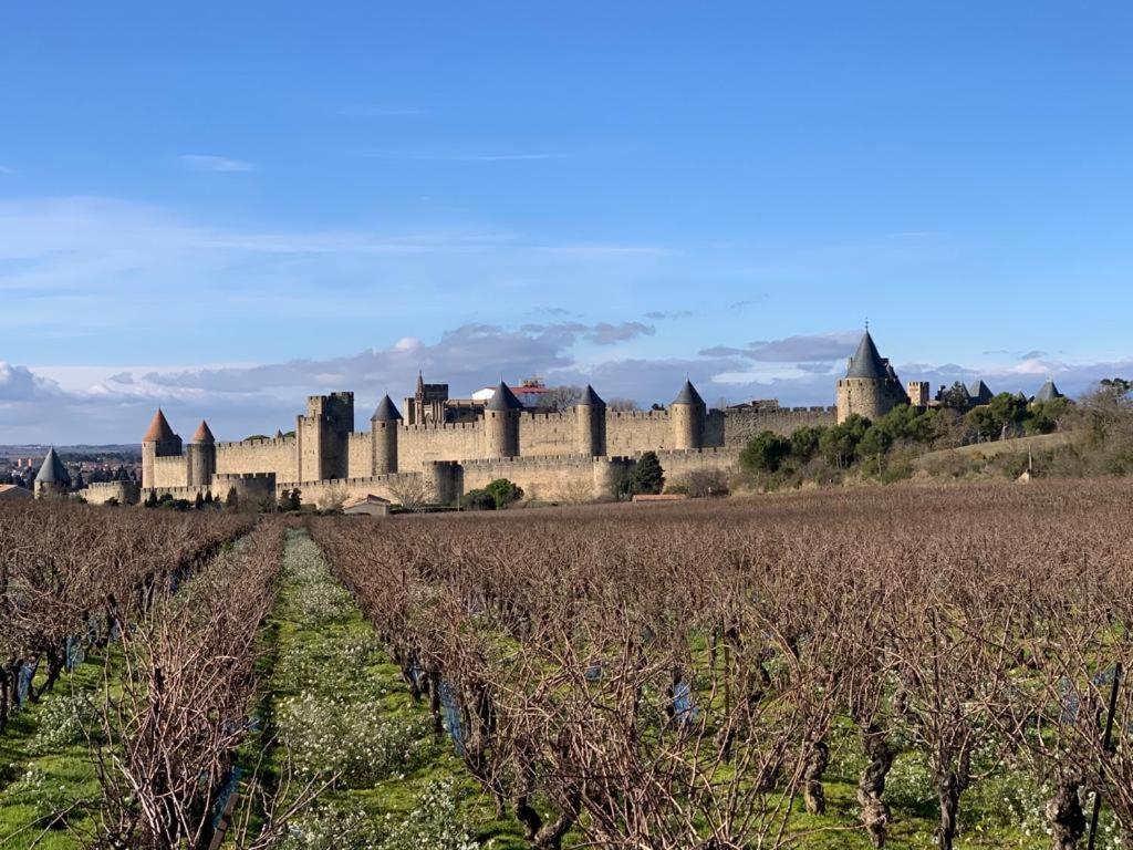 La Cour Carree - Chambres D'Hotes Carcassonne Buitenkant foto